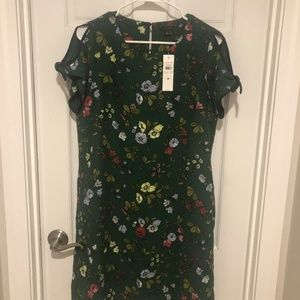 Ann Taylor (NWT) Dress